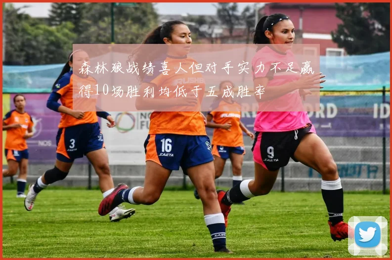 森林狼战绩喜人但对手实力不足赢得10场胜利均低于五成胜率