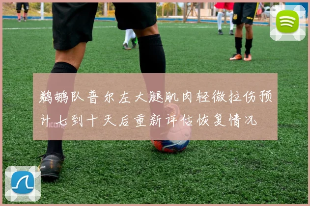 鹈鹕队普尔左大腿肌肉轻微拉伤预计七到十天后重新评估恢复情况