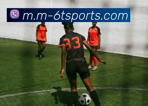 6T体育APP 高清赛事图