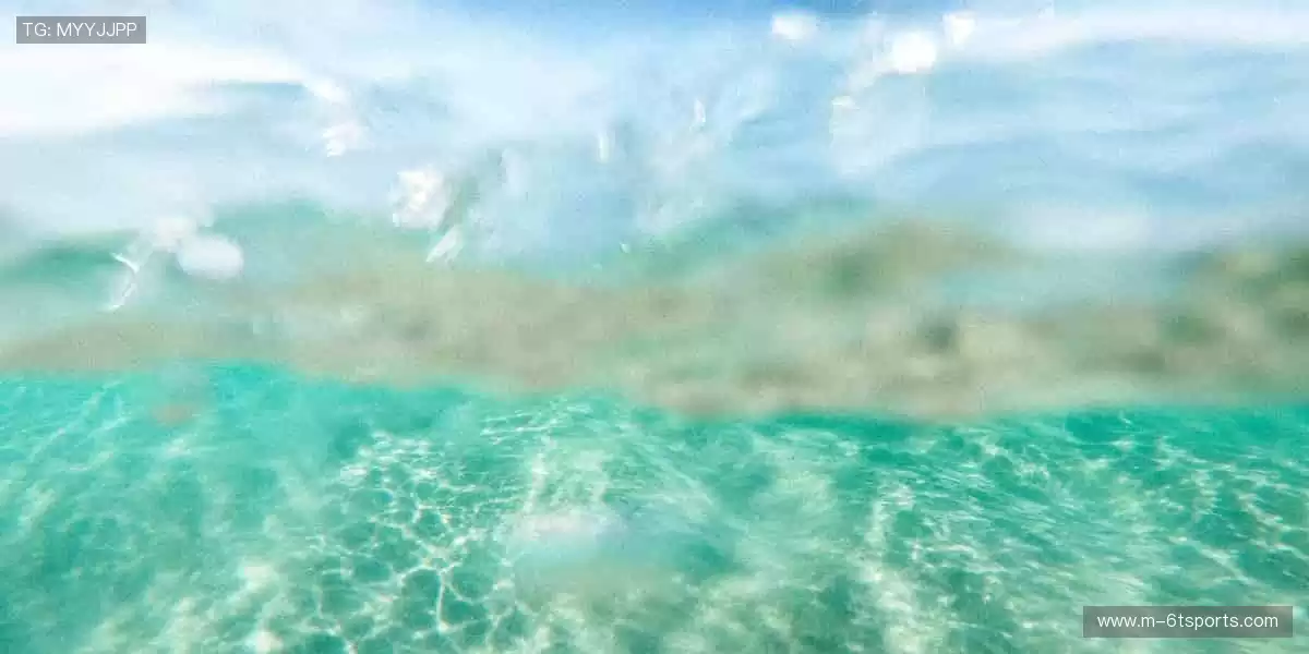 全球直播，零距离狂欢🌍